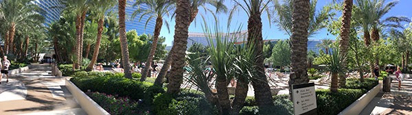 uima-allas-alue Las Vegas Resort